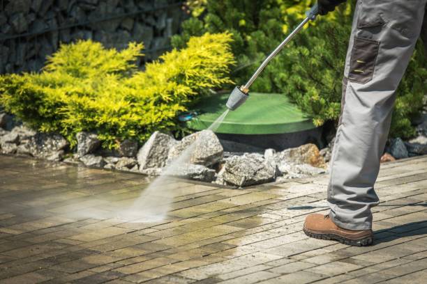 Pre-Holiday Cleaning in Meadow Oaks, FL